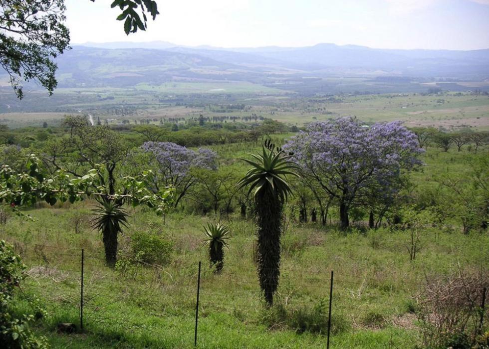 Mon Desir Villa Pietermaritzburg Exterior photo